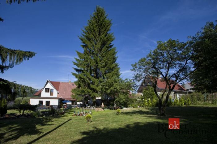 Prodej rodinného domu, Brandov, Rudé armády, 300 m2