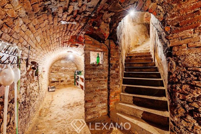 Prodej zahrady, Šatov, 877 m2