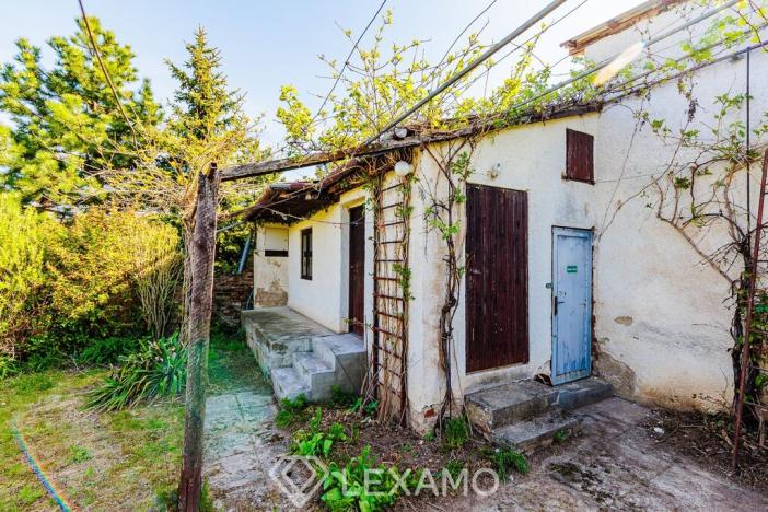 Prodej zahrady, Šatov, 877 m2