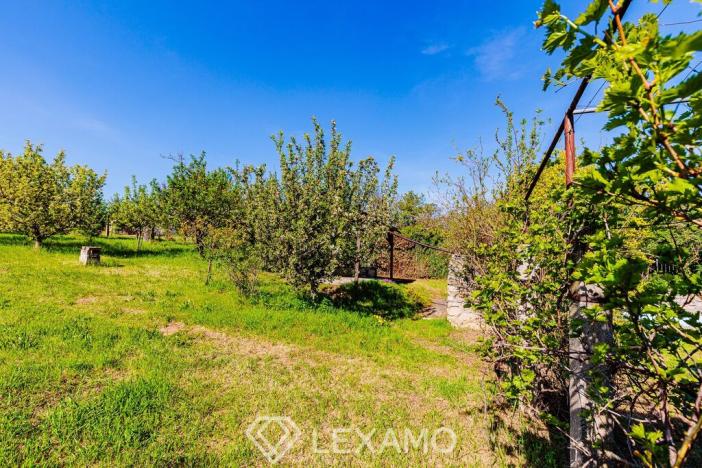 Prodej zahrady, Šatov, 877 m2