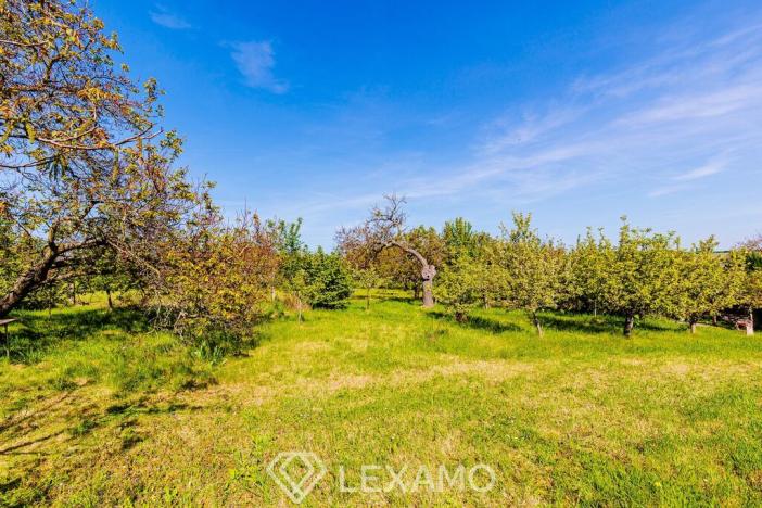 Prodej zahrady, Šatov, 877 m2