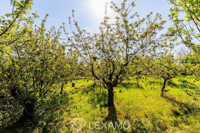 Prodej zahrady, Šatov, 877 m2