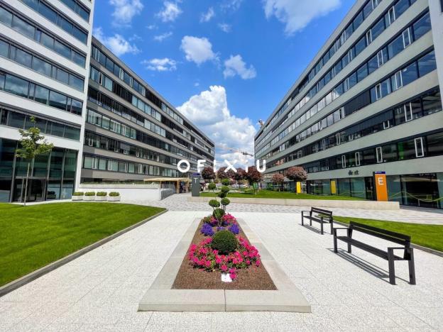 Pronájem kanceláře, Brno - Staré Brno, Nové sady, 290 m2