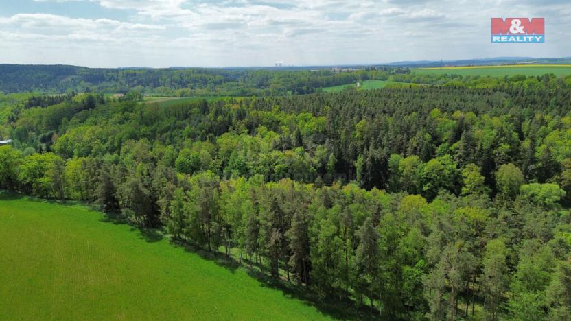 Prodej lesa, Černýšovice, 79857 m2