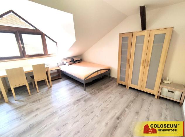 Pronájem bytu 1+kk, Brno, Palackého třída, 28 m2