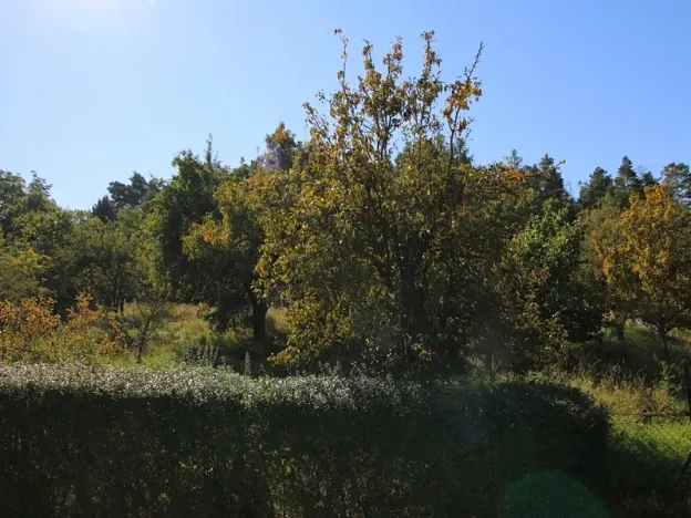 Prodej zahrady, Kanice, 2085 m2