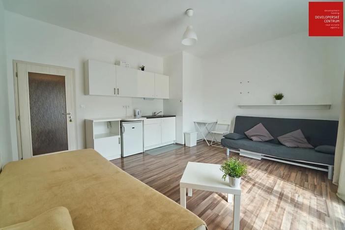 Pronájem bytu 1+kk, Mariánské Lázně, Dvořákova, 28 m2