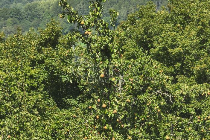 Prodej louky, Vojkovice - Jakubov, 399465 m2