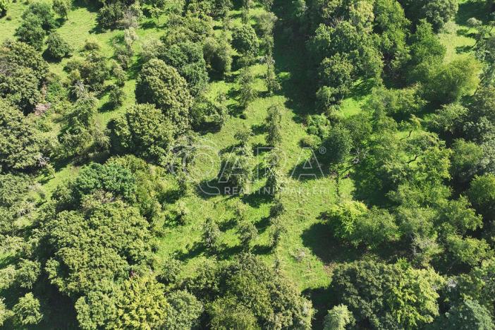 Prodej louky, Vojkovice - Jakubov, 399465 m2