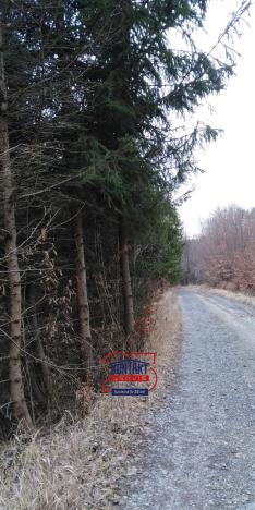 Prodej lesa, Lužná, 13657 m2