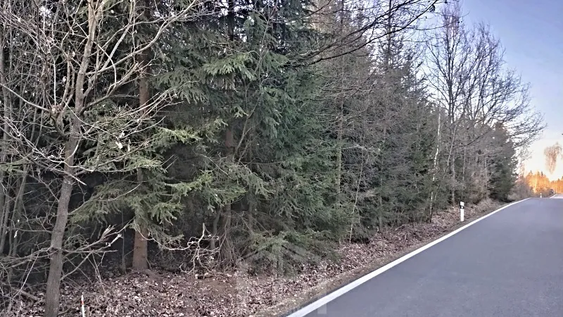 Prodej lesa, Dačice, 14057 m2