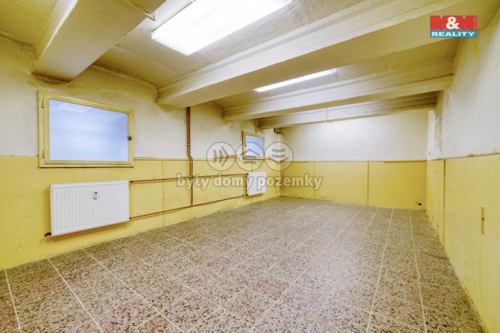 Pronájem skladu, Plzeň, Zikmunda Wintra, 34 m2