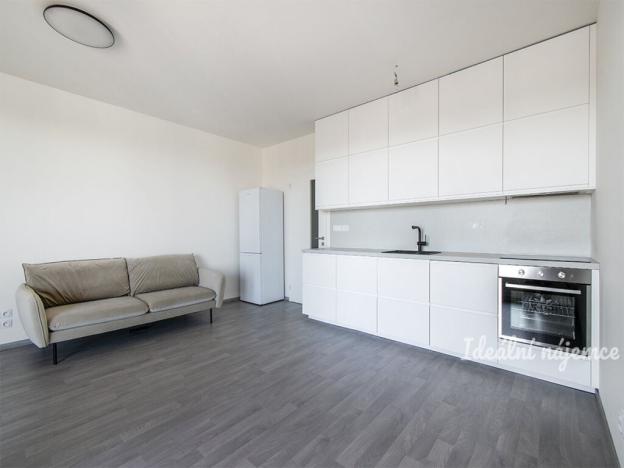 Pronájem bytu 1+kk, Praha - Žižkov, Olgy Havlové, 38 m2