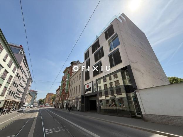 Pronájem obchodního prostoru, Brno, Milady Horákové, 277 m2