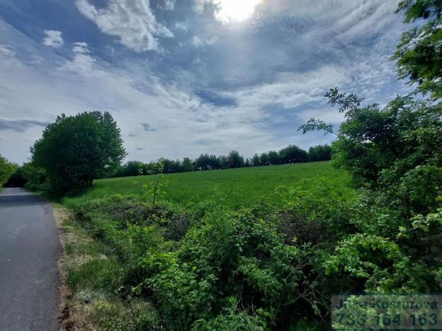 Prodej pozemku pro bydlení, Sosnová, 927 m2