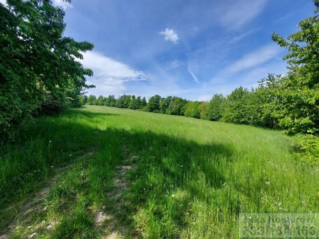 Prodej pole, Sosnová, 19783 m2