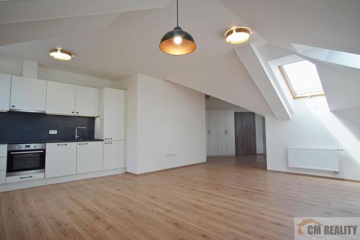 Pronájem bytu 1+kk, Olomouc - Hodolany, Holická, 53 m2