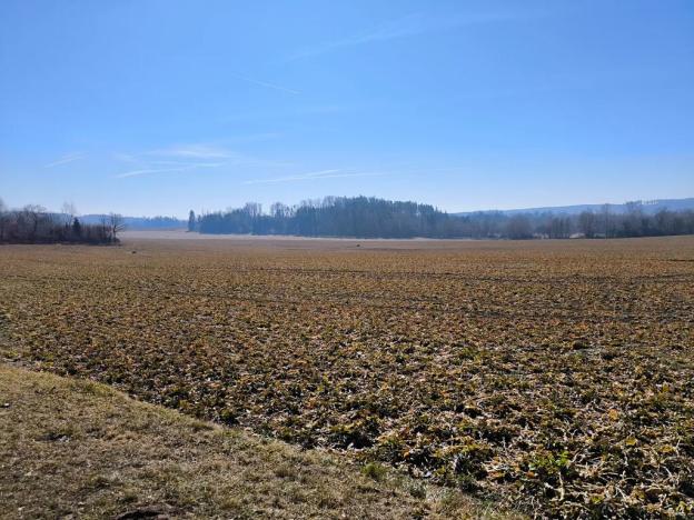 Prodej pole, Krahulčí, 116147 m2