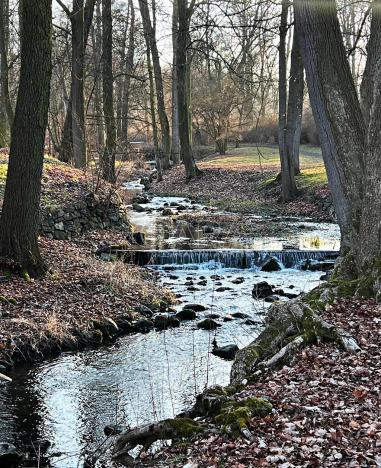 Prodej bytu 1+1, Krásný Dvůr, 32 m2