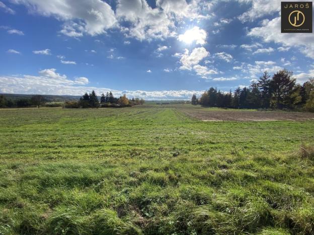 Prodej pozemku pro bydlení, Lužná, 1003 m2