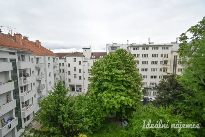 Pronájem bytu 2+kk, Brno, Přadlácká, 56 m2