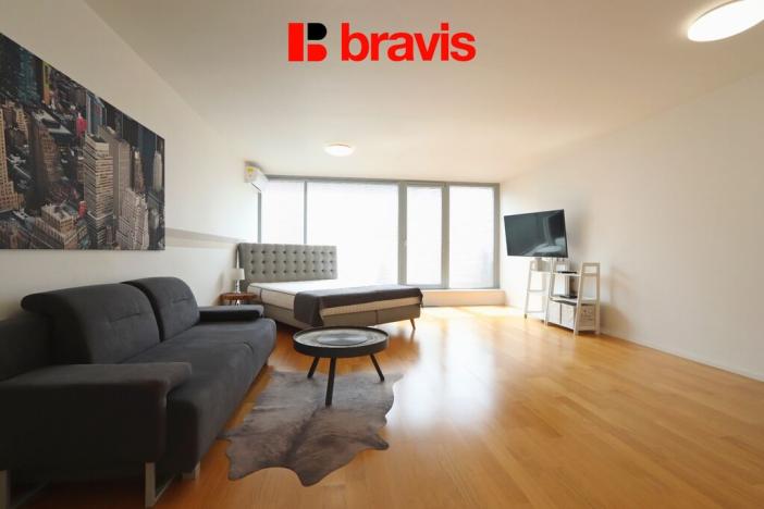 Pronájem bytu 1+kk, Brno, Mlýnská, 63 m2