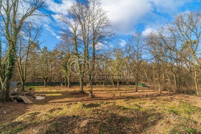 Prodej pozemku pro bydlení, Ovčáry, 6090 m2