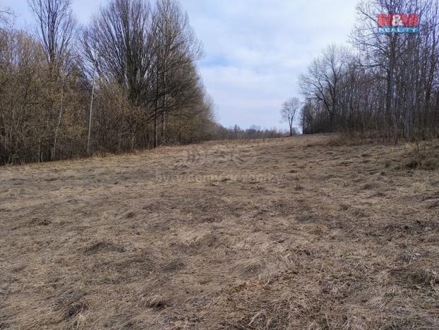 Prodej pozemku pro bydlení, Dolní Moravice, 1920 m2