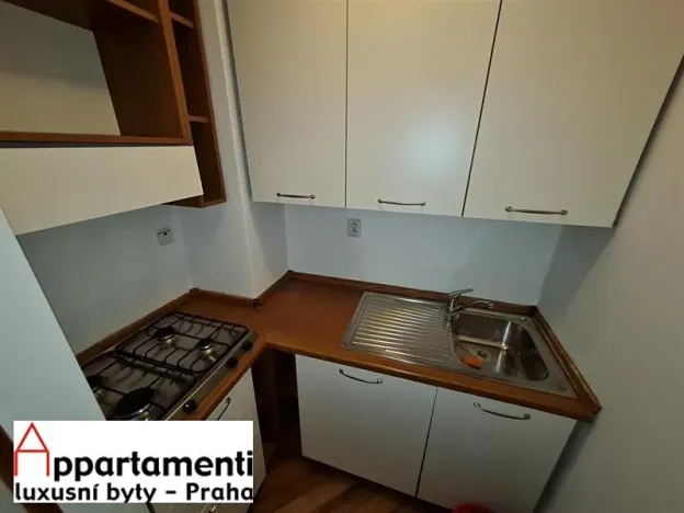 Prodej atypického bytu, Praha - Staré Město, Masná, 176 m2