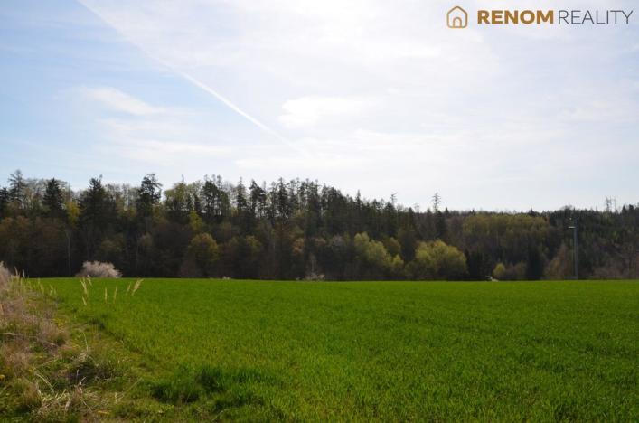 Prodej rodinného domu, Konice, Burianova, 98 m2