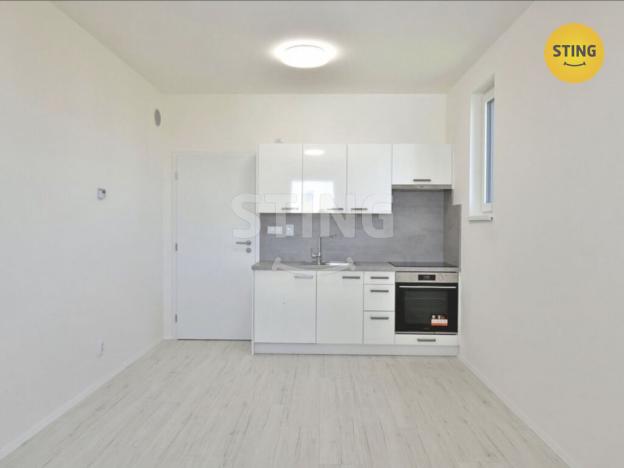 Pronájem bytu 1+kk, České Budějovice, Na Zlaté stoce, 27 m2