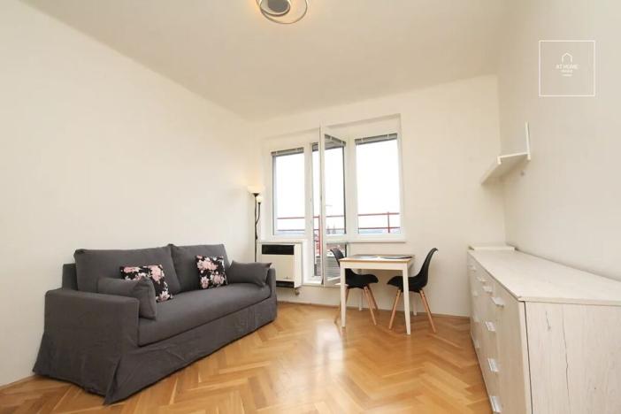 Pronájem bytu 1+kk, Praha - Vinohrady, Chopinova, 22 m2