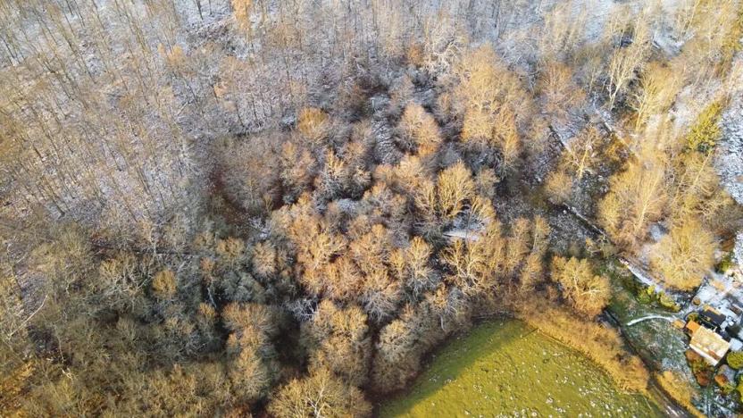 Prodej louky, Malečov, 1240 m2