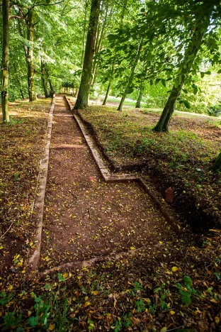 Prodej domu, Dolní Olešnice, 6264 m2