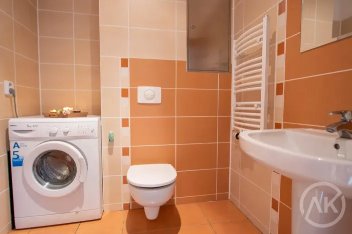 Pronájem bytu 3+kk, Ostrava - Slezská Ostrava, Michálkovická, 98 m2