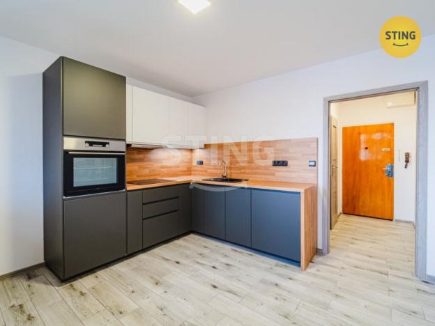 Pronájem bytu 1+1, Opava, Holasická, 37 m2