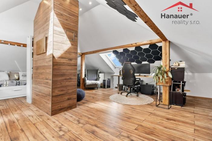 Prodej rodinného domu, Ústí nad Labem - Střekov, Rubensova, 210 m2