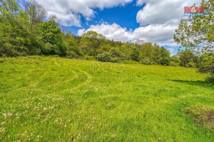 Prodej pozemku pro bydlení, Sušice - Nuzerov, 10400 m2