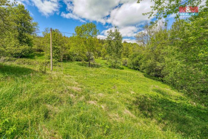 Prodej pozemku pro bydlení, Sušice - Nuzerov, 10400 m2