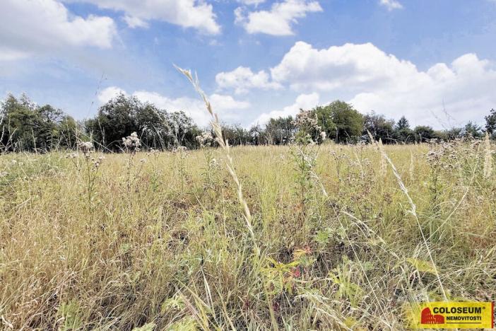Prodej pozemku pro bydlení, Sebranice, 2000 m2