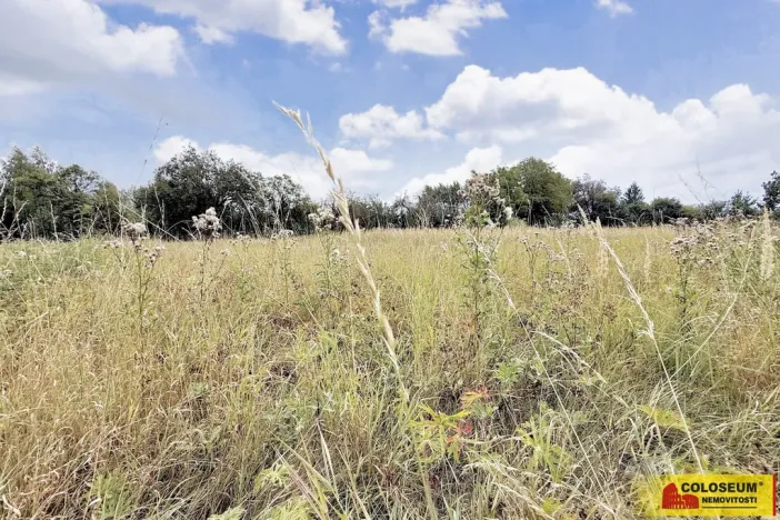 Prodej pozemku pro bydlení, Sebranice, 2000 m2