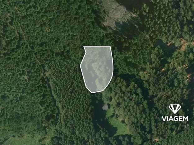 Prodej podílu lesa, Třebětín, 1638 m2