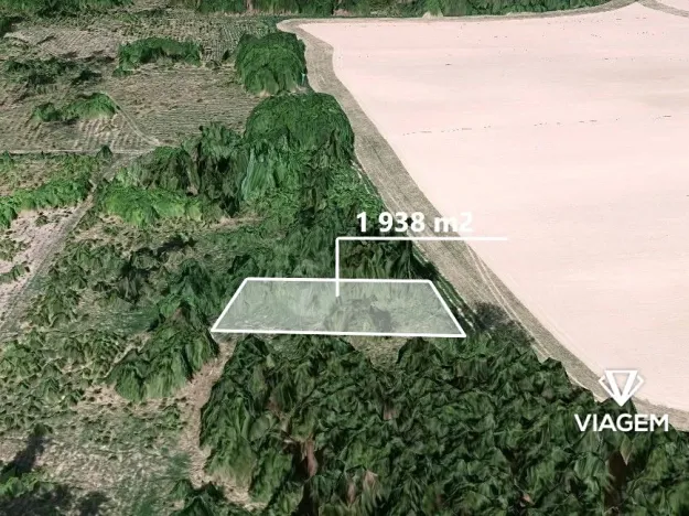 Prodej podílu lesa, Řendějov, 1292 m2
