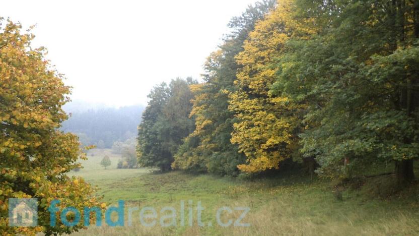 Prodej pole, Přimda, 35381 m2