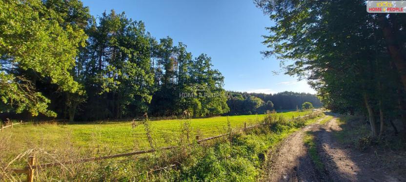 Prodej chaty, Dolní Hbity - Horní Líšnice, 58 m2