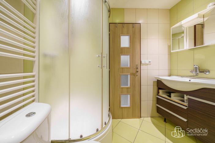 Prodej rodinného domu, Dolní Rychnov, Revoluční, 260 m2