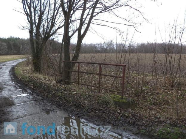 Prodej pole, Dobrovice, 500 m2