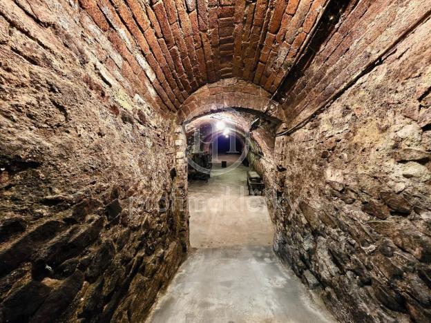 Prodej - jiné, Zaječí, Dolní, 169 m2