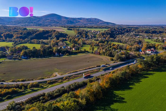 Prodej komerčního pozemku, Návsí, 8000 m2