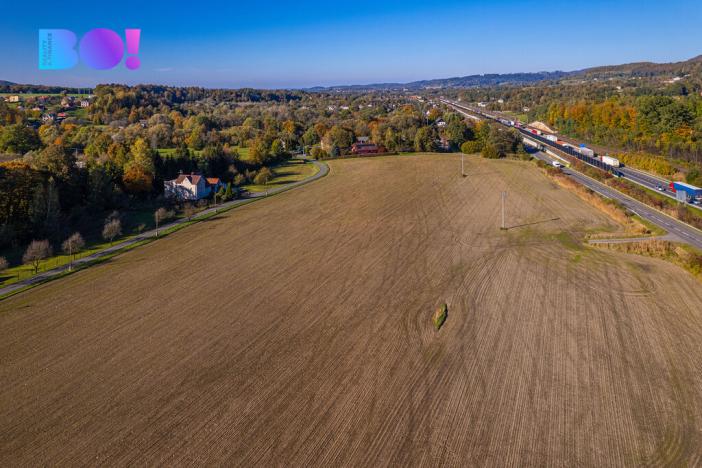 Prodej komerčního pozemku, Návsí, 8000 m2